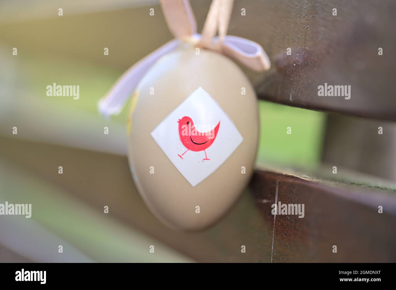 Closeup view of light beige plastic decorative Easter egg tied with ribbon on dark brown bench at university campus, Belfield, Dublin Ireland Stock Photo