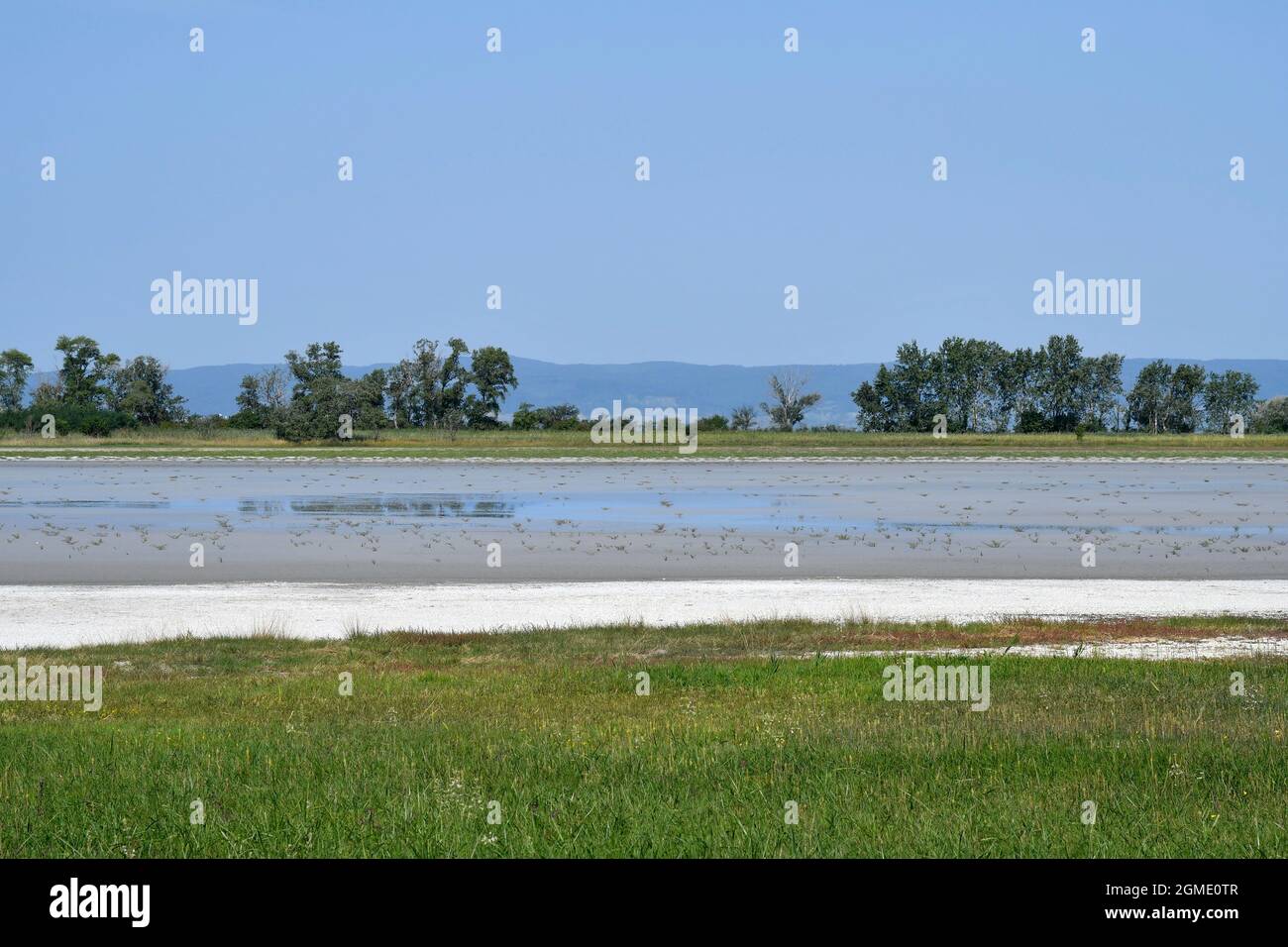 Austria, Neusiedleree-Seewinkel national park in Burgenland in the Pannonian lowlands, popular excursion destination with steppe landscape, wetlands, Stock Photo