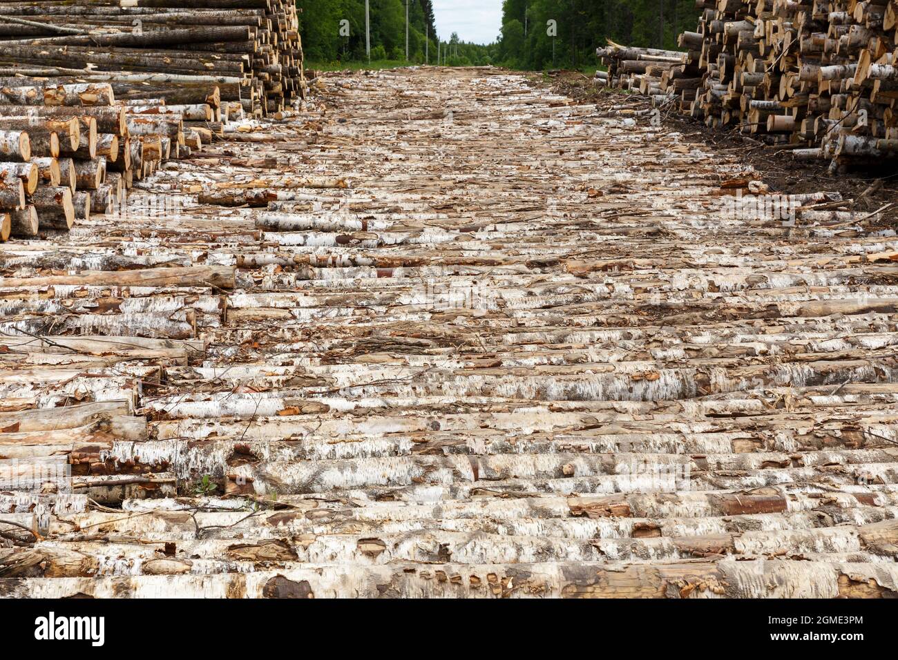 Timber pile bridge hi-res stock photography and images - Alamy