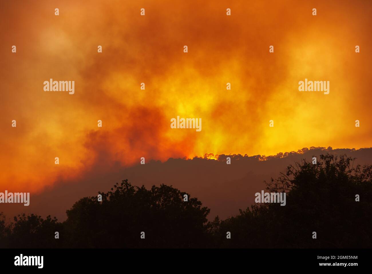 Forest wildfire at night from a distance, with silhouettes of trees against dramatic red sky and heavy smoke Stock Photo
