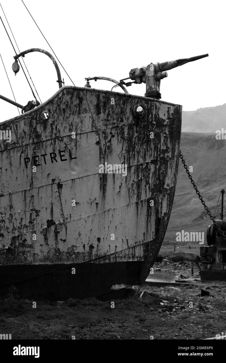 South Georgia Island The Shipwreck Black And White Stock Photos south-georgia-island-the-shipwreck-black-and-white-stock-photos