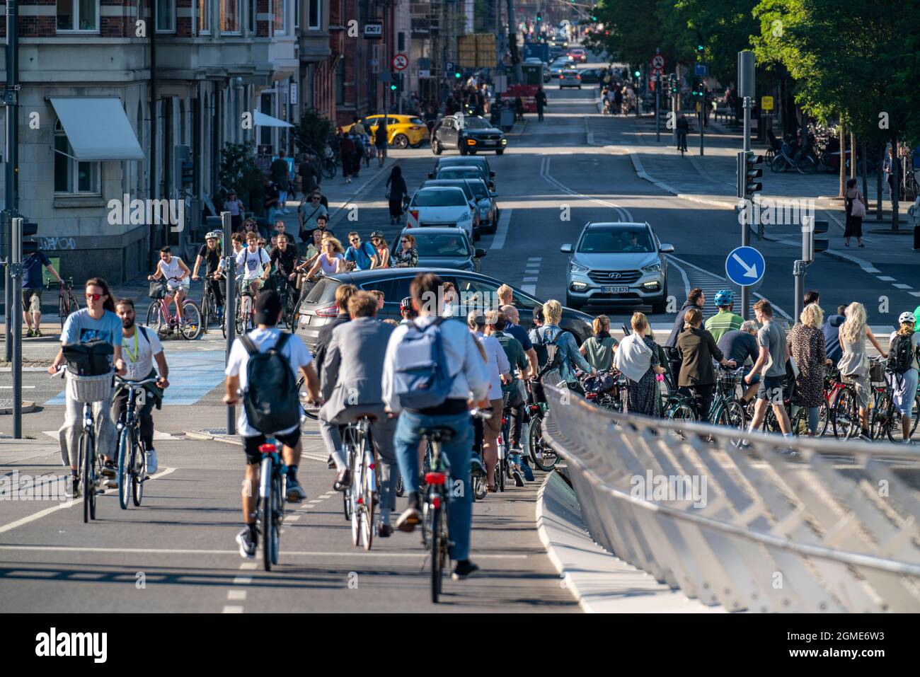 Cyclists on cycle paths, on Vester Voldgade Street, in downtown Copenhagen,  is considered the cycling capital of the world, 45% of residents make thei  Stock Photo - Alamy