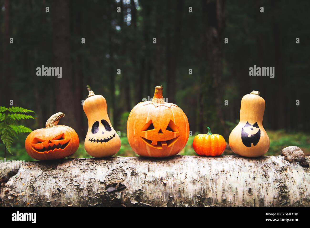 Halloween pumpkin jack lantern in the mystical forest. Halloween ...