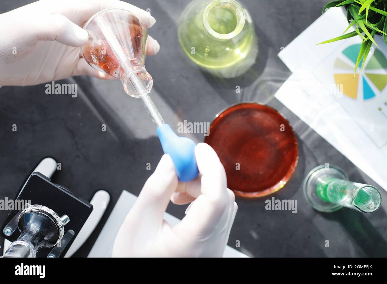 Laboratory research. Drug testing. Chemical experiments in the ...