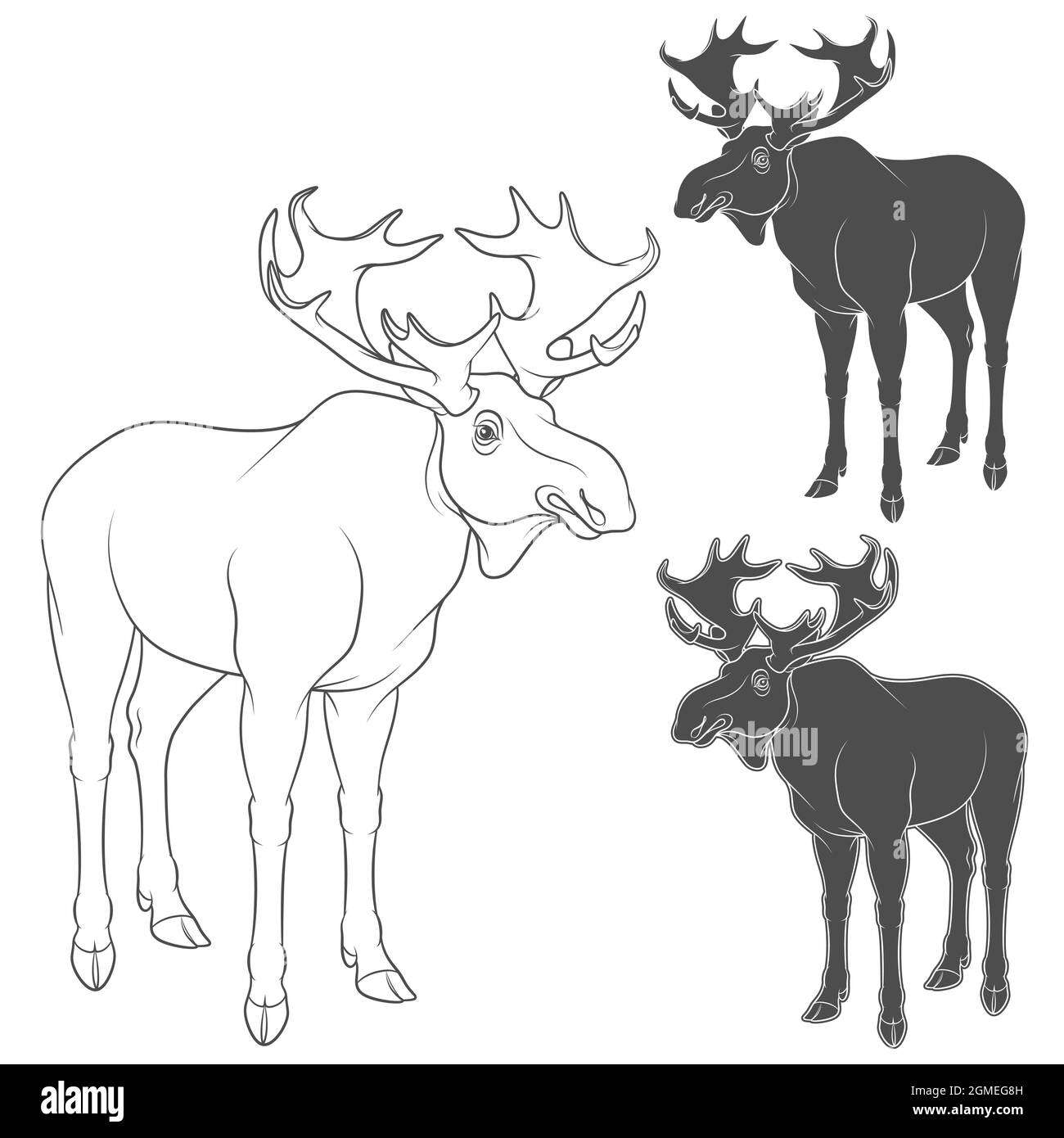 Set of black and white illustrations with moose, elk. Isolated vector objects on white background. Stock Vector