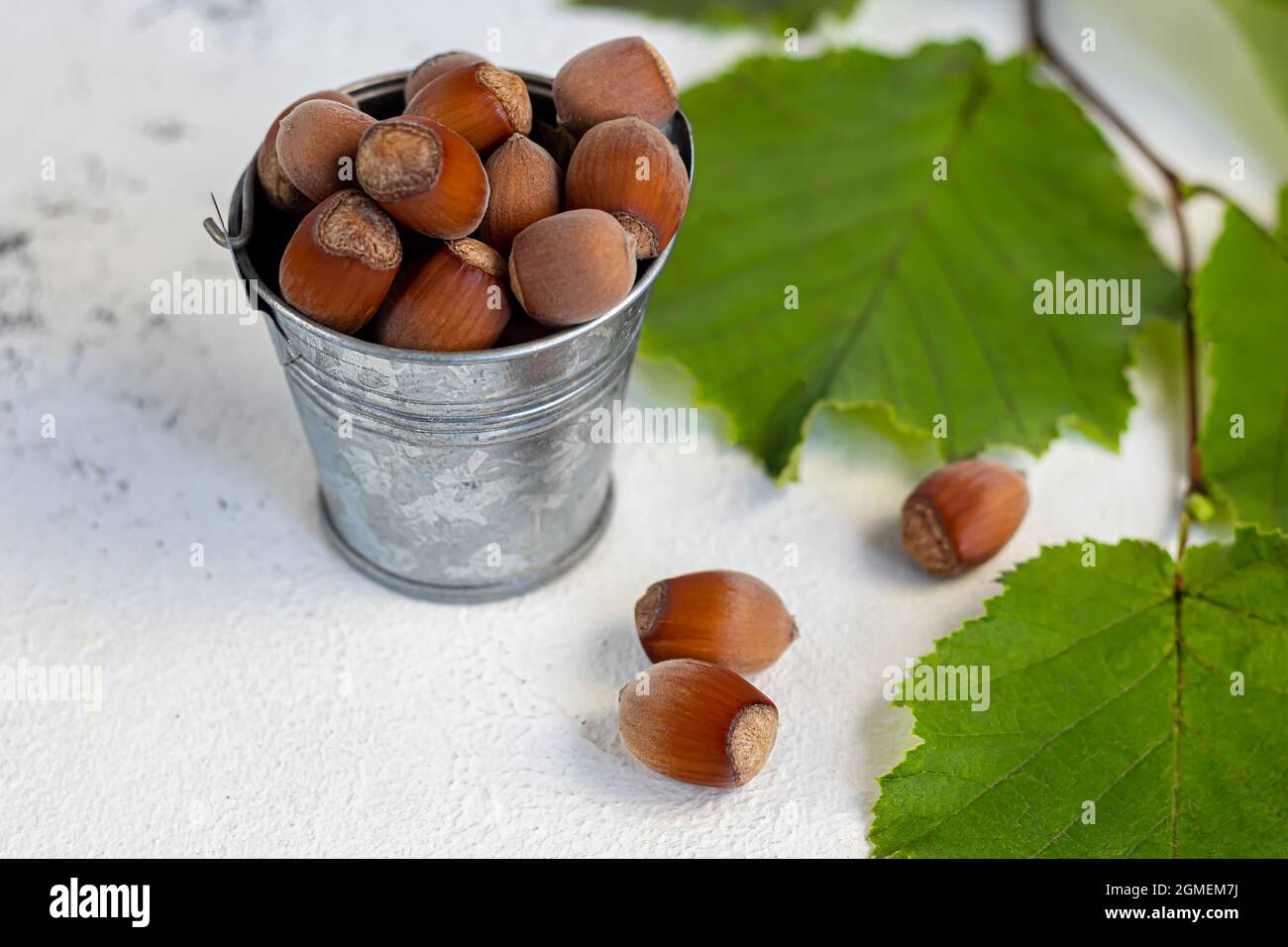 Hazelnuts on a light background with green leaves. Contains beneficial