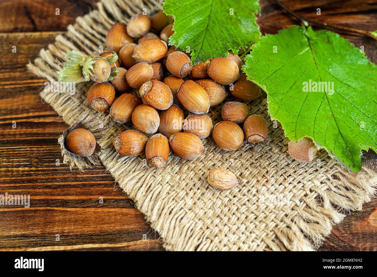 Hazelnuts on a wooden background with green leaves. Contains beneficial
