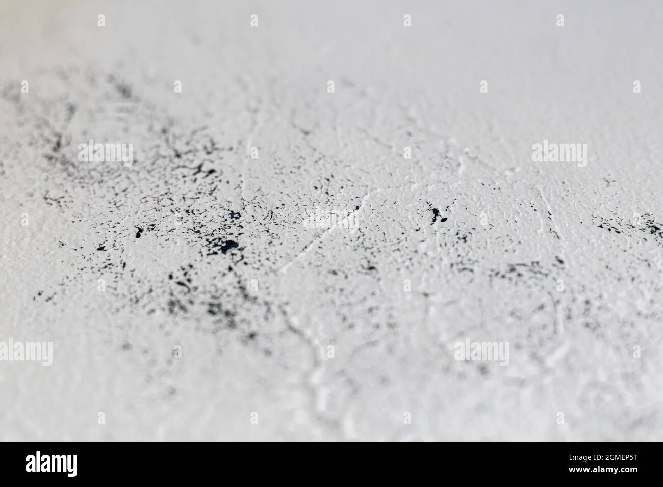 Old concrete wall, natural texture. Light shadows background. Selective focus. Free space Stock Photo