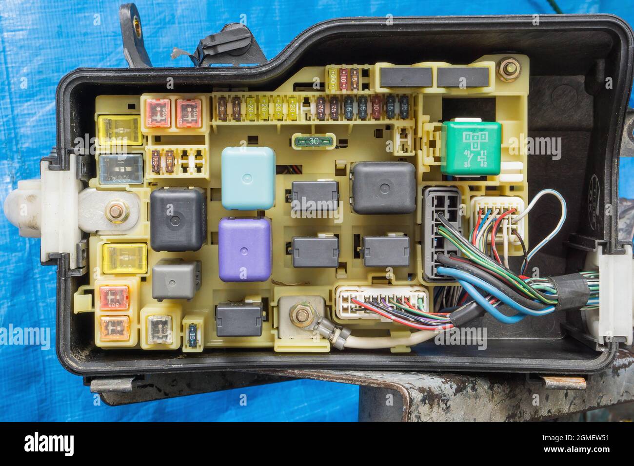 Fuses in fuse box of car vehicle Stock Photo Alamy