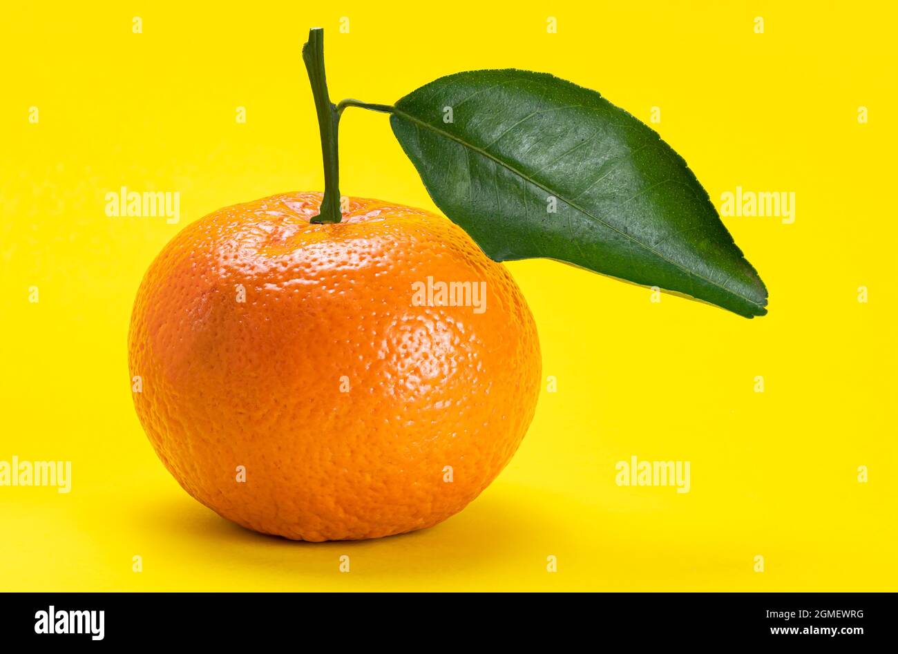 Side view of sweet mandarin orange with leaf isolated on yellow background with clipping path. Stock Photo