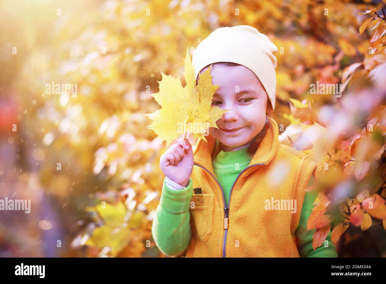 Children walk in the autumn park in the fall Stock Photo Alamy