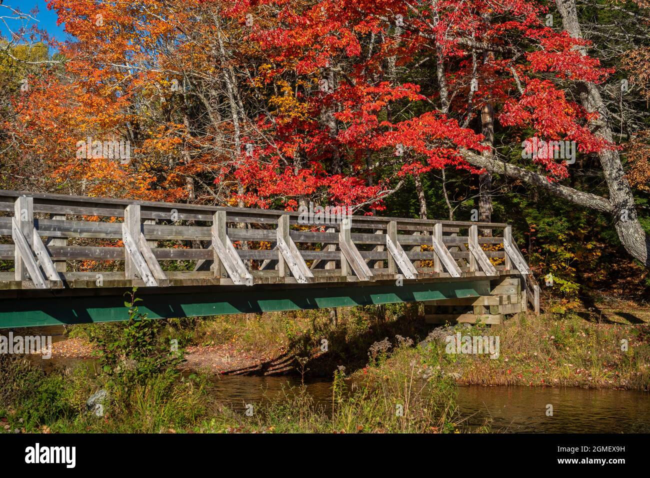 Foot bridge over a slow moving river in autumn. Stock Photo
