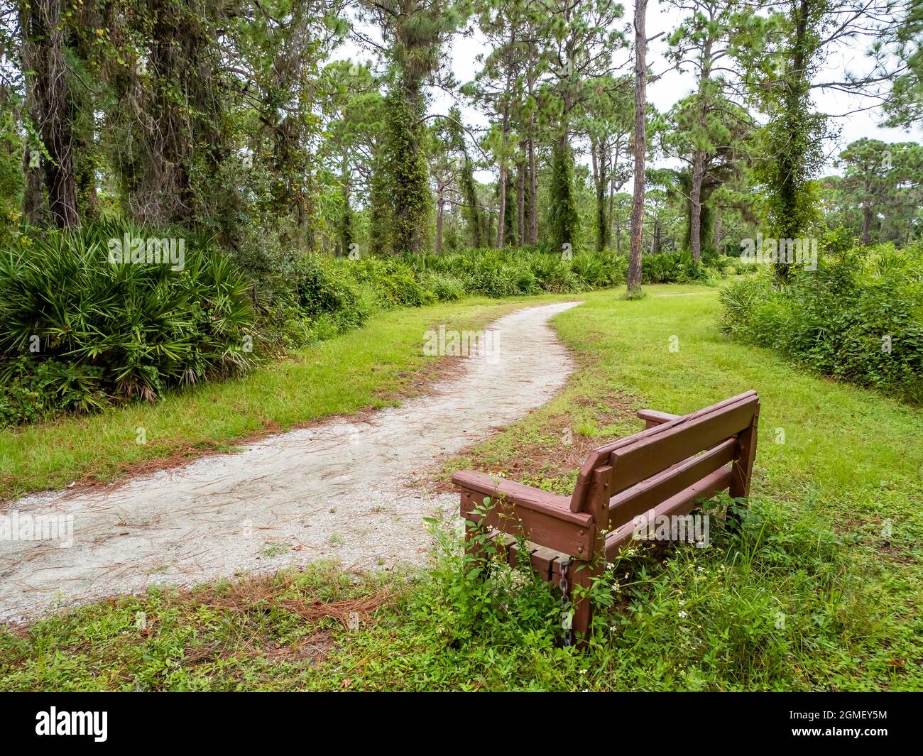 Walking trail in Lemon Bay Park and Environmental Centerin Englewood on the Gulf Coast of Florida USA Stock Photo