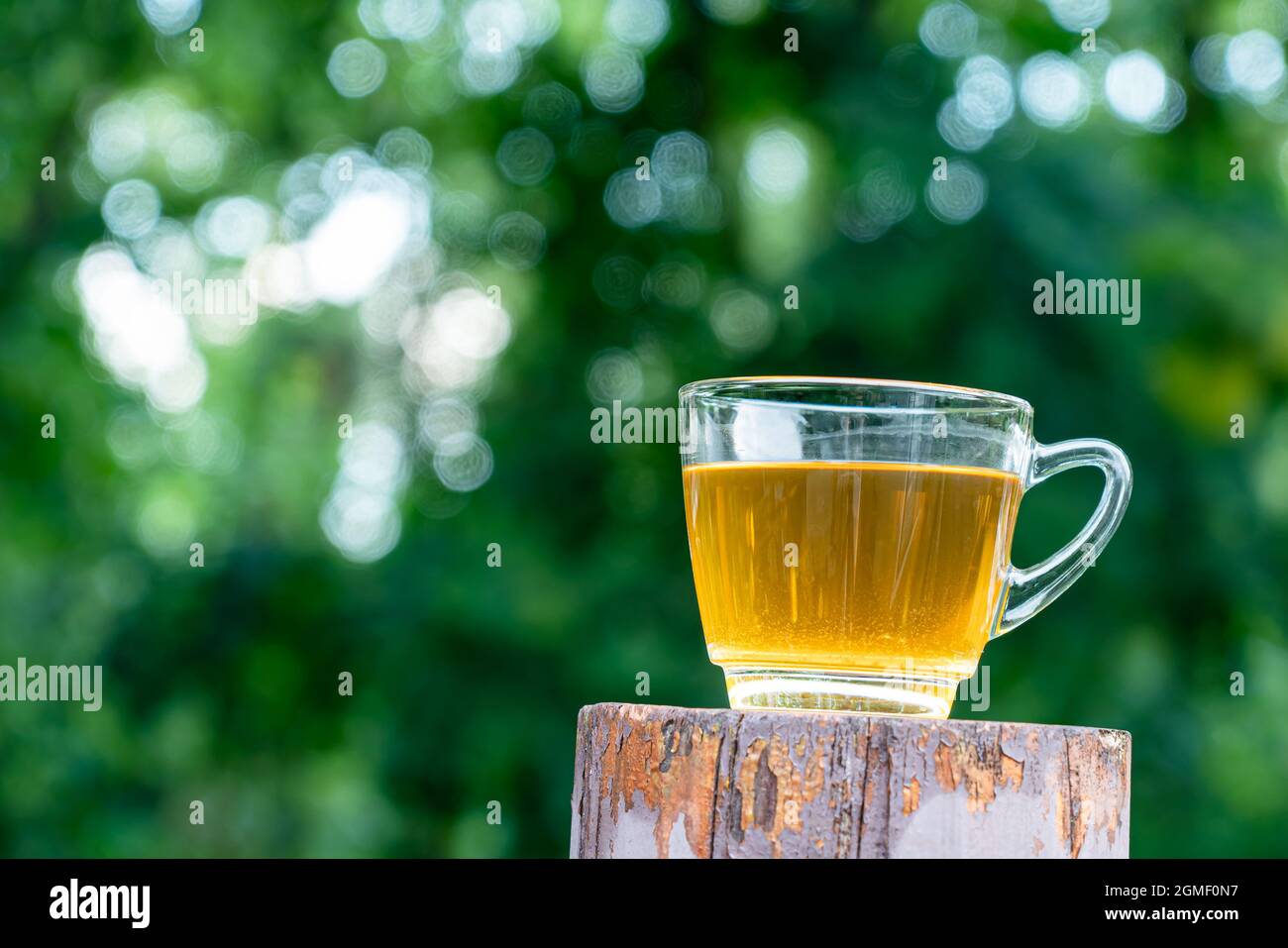 View of transparent cup of tea on the wooden post in front of the green teak forest. Stock Photo