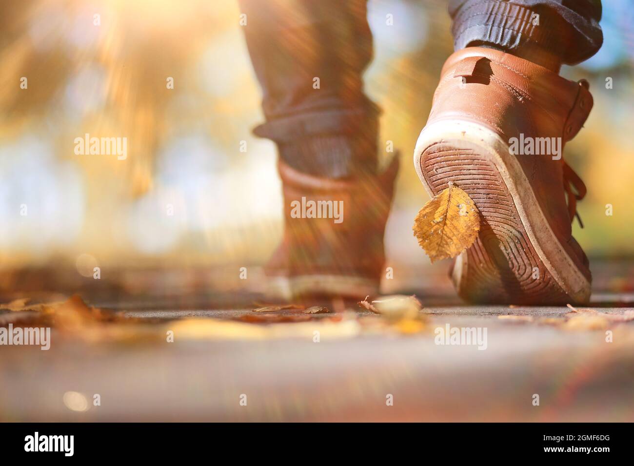 Autumn Park man walking along a path foliage Stock Photo - Alamy