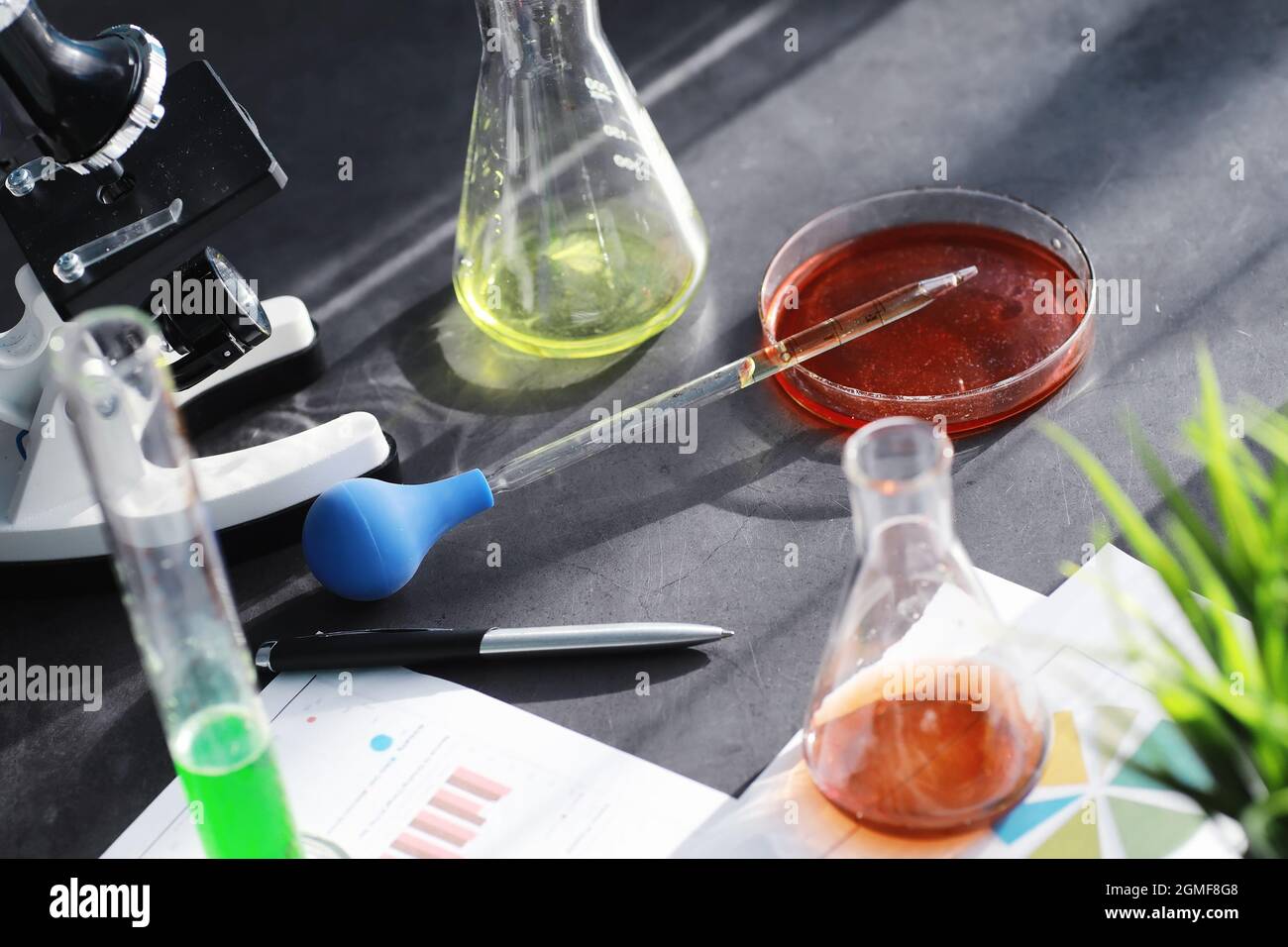 Drug Testing Microscope Laboratory research. Drug testing. Chemical experiments in the ...