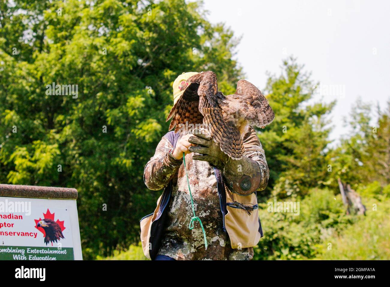 SIMCOE, CANADA Aug 11, 2021 A professional bird handler with a great