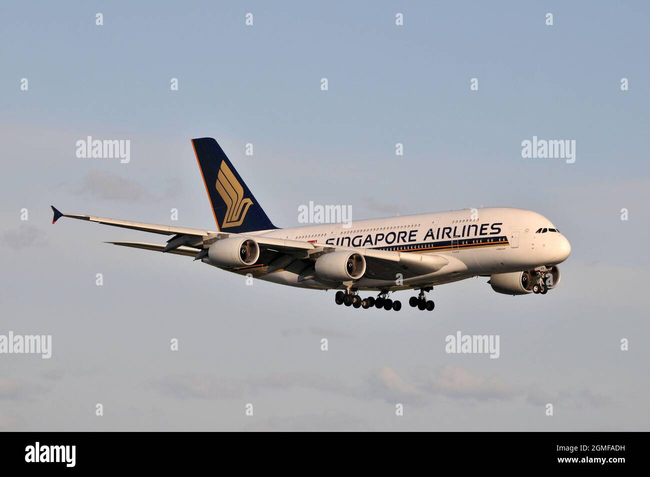 An Airbus A380 on final approach to Heathrow Airport, London, England in the evening sunshine Stock Photo