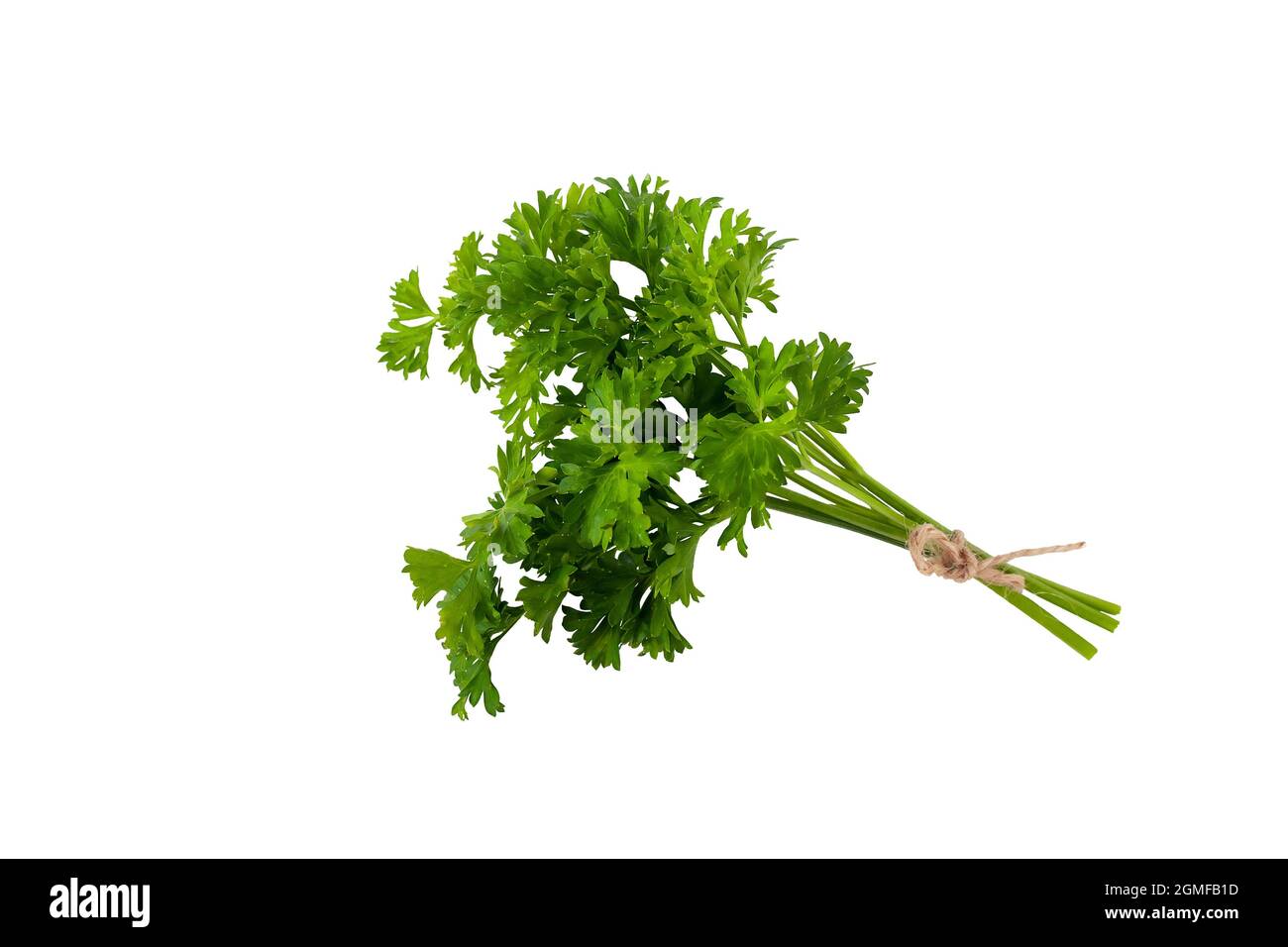 parsley bunch tied with cord isolated on white background Stock Photo