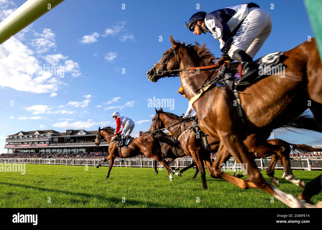 Ayr gold cup 2021 hires stock photography and images Alamy