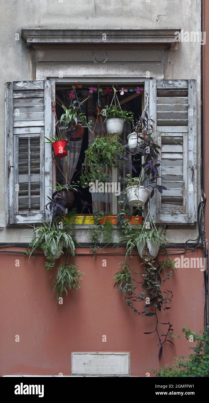 old window with flowers, Split, Croatia Stock Photo