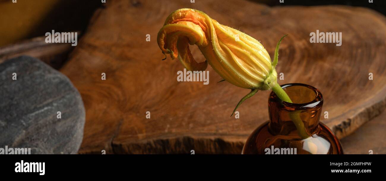 Zucchini yellow flowers on solid wood cutting board, tree bark on rust ...