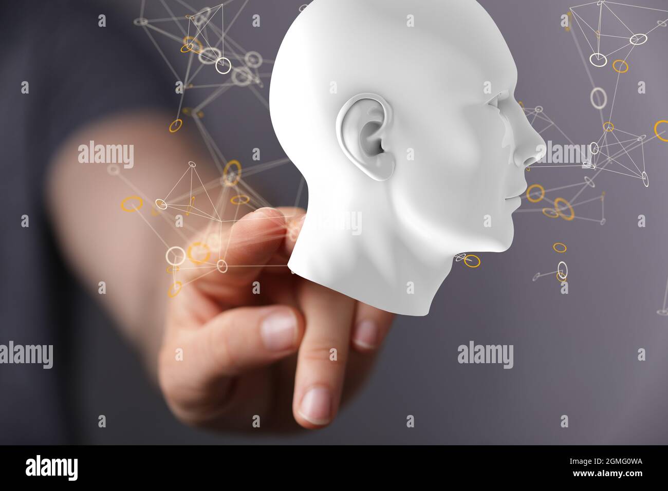 Head with network plexus structure Stock Photo