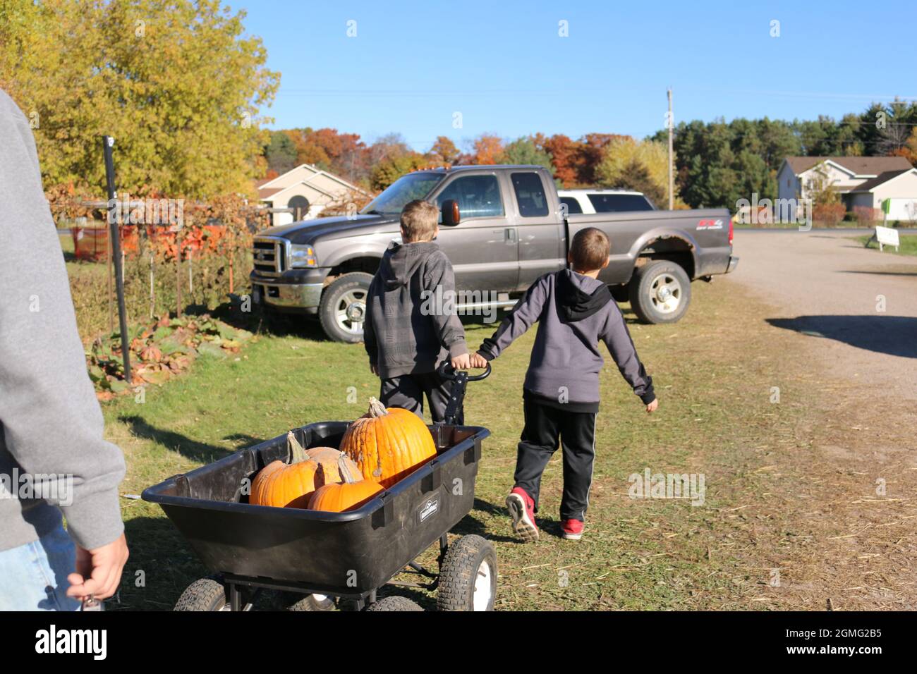 Minnesota pumpkin picking Stock Photo