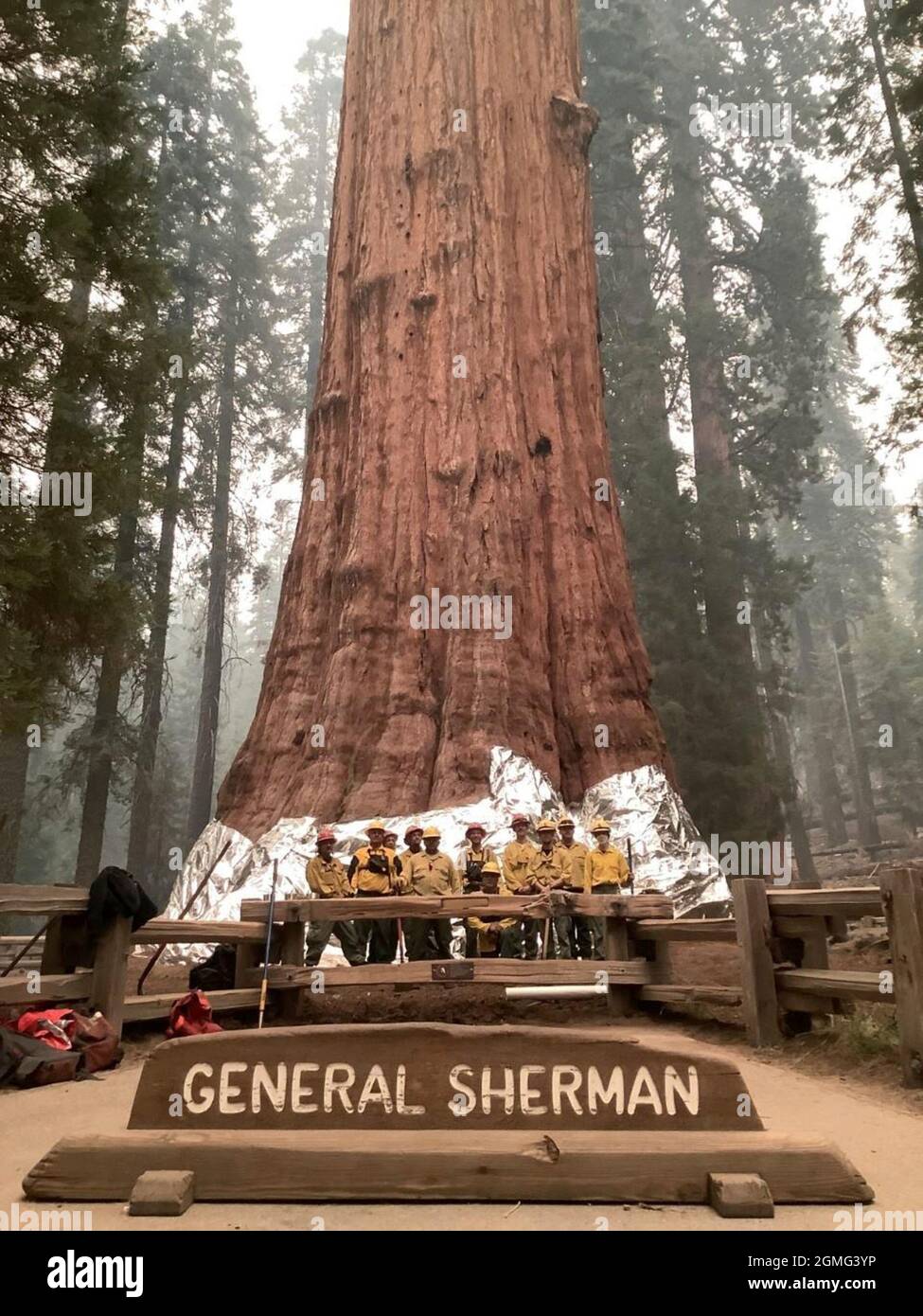 Three Rivers, United States. 17th Sep, 2021. Wildlands firefighters pose after wrapping fireproof structural foil around the base of the General Sherman Tree to protect it from the encroaching KNP Complex wildfire in Sequoia & Kings Canyon National Parks September 17, 2021 in Three Rivers, California. The massive fire has burned 18,000 acres and has reached the edge of a historic grove of giant sequoia trees. Credit: Handout/National Interagency Fire Center/Alamy Live News Stock Photo