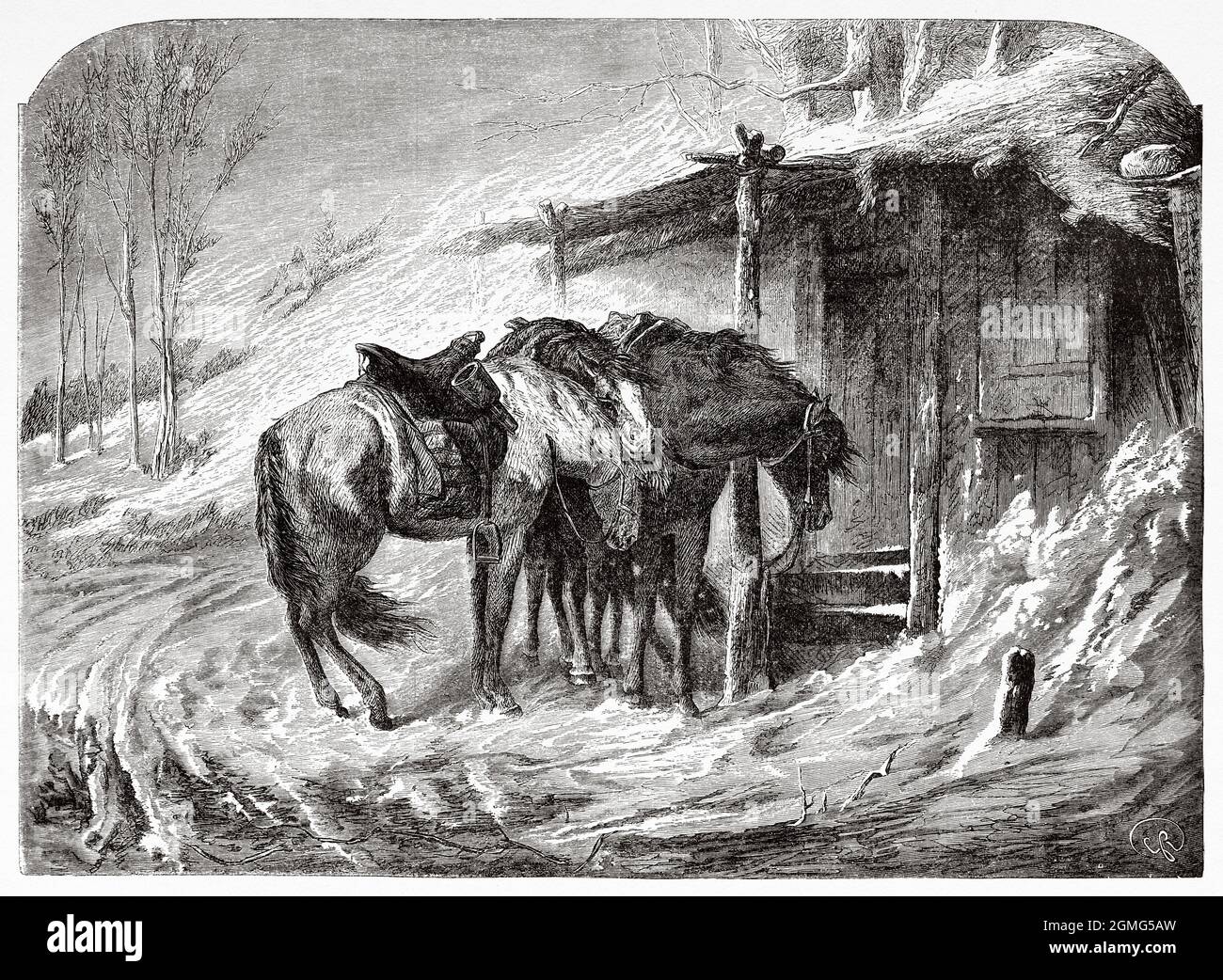 Cossack horses resting after a hard march through the snow, painting by Adolf Schreyer (1828-1899) was a 19th century German painter. Old 19th century engraved illustration from La Ilustración Artística 1882 Stock Photo
