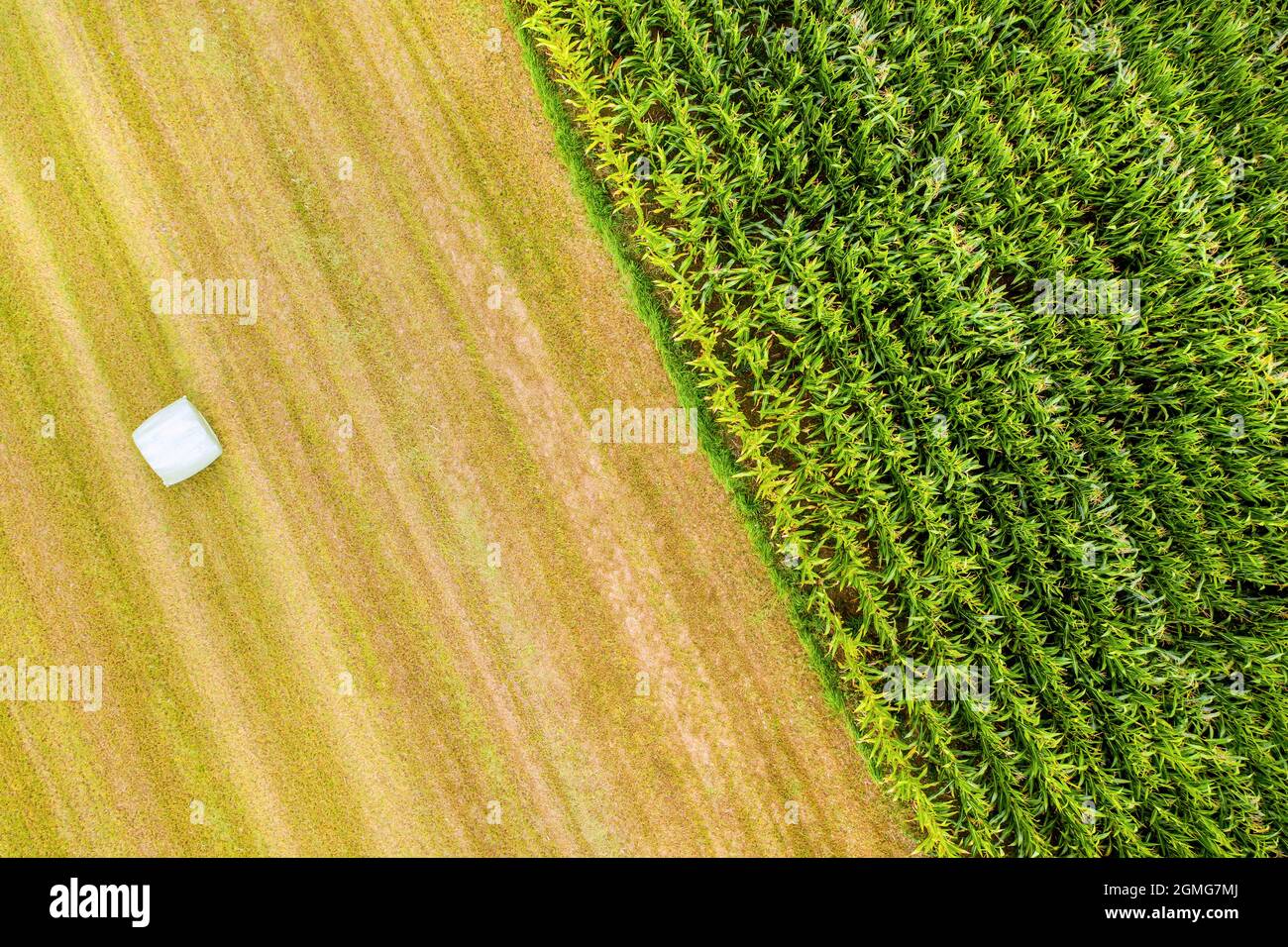 two types of fields from above Stock Photo - Alamy