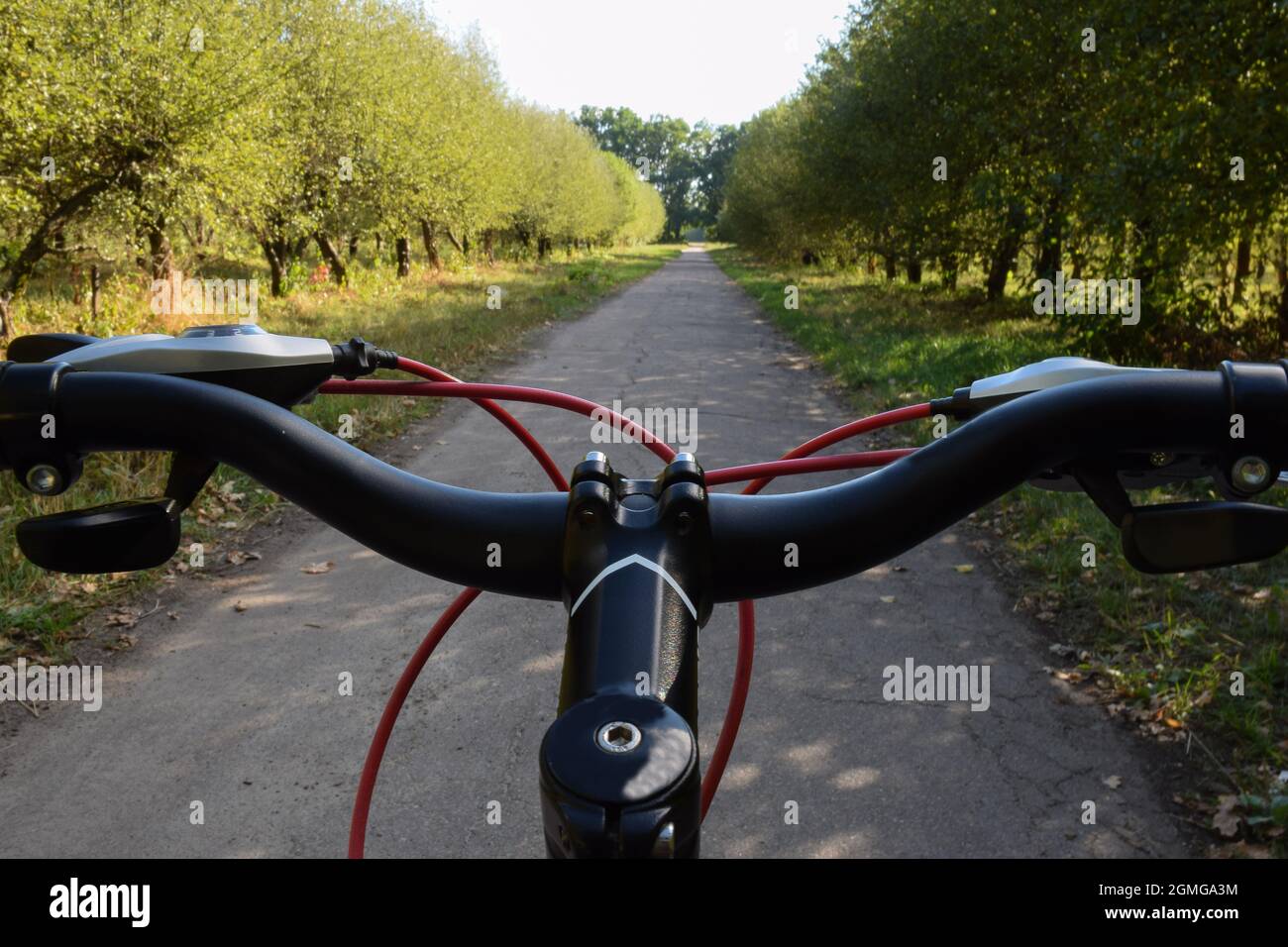 The steering wheel of a bicycle riding on an asphalt road leaving in