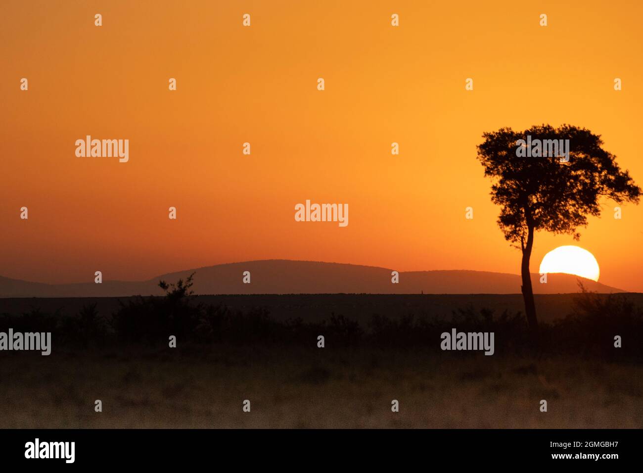 Sunrise in the Masai Mara Game reserve in Kenya Stock Photo