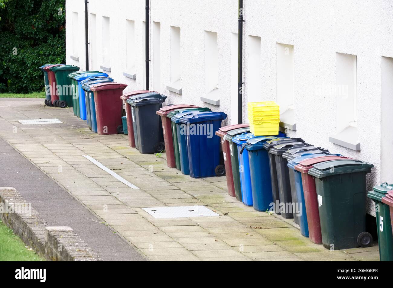 Purple rubbish bags hi-res stock photography and images - Alamy