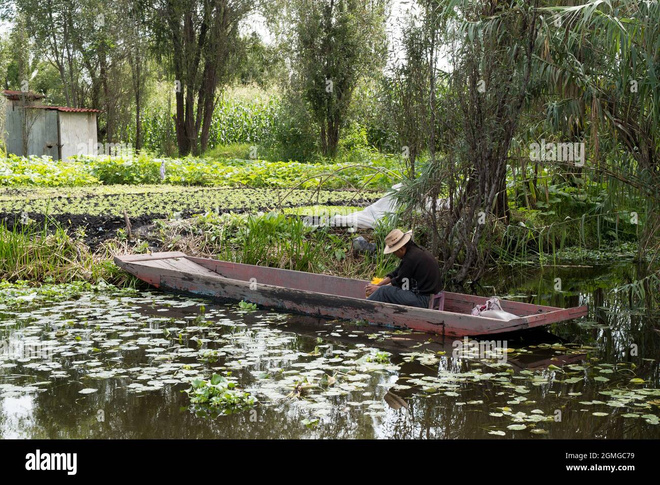 Gondola in the ancient Aztec lake of Xochimilco in Mexico City Stock