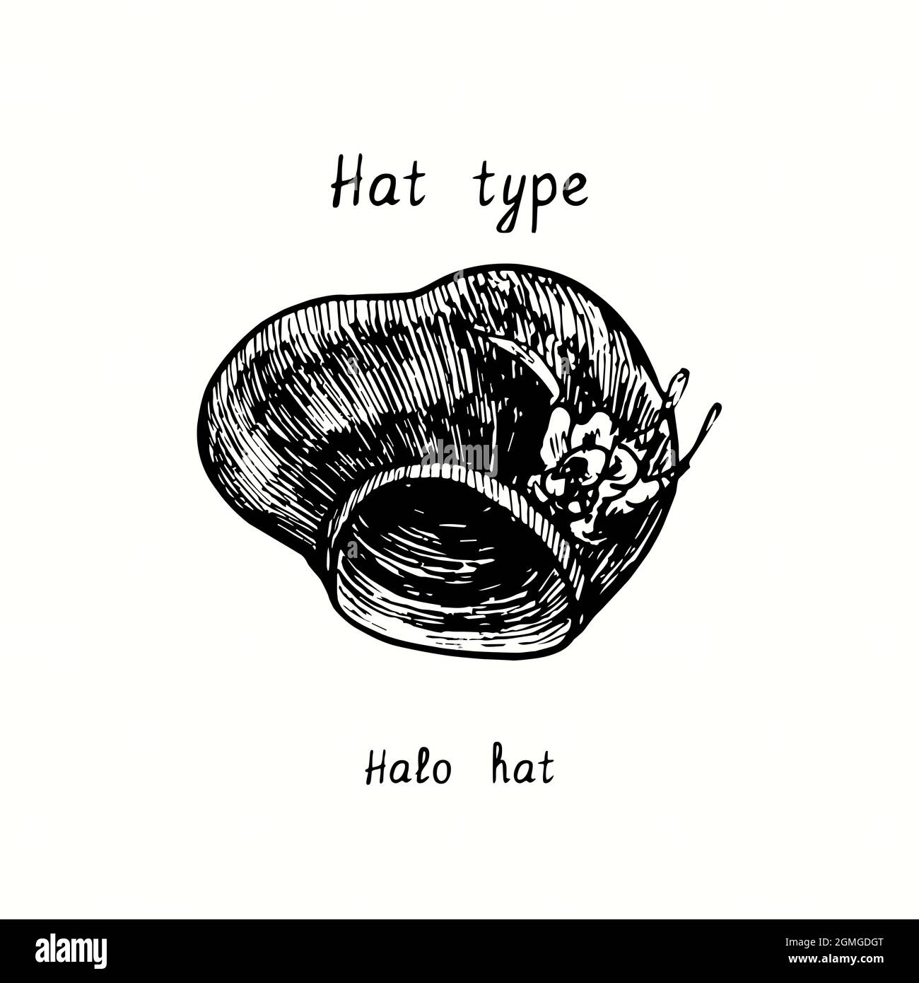 Hat type, halo. Ink black and white drawing illustration Stock Photo
