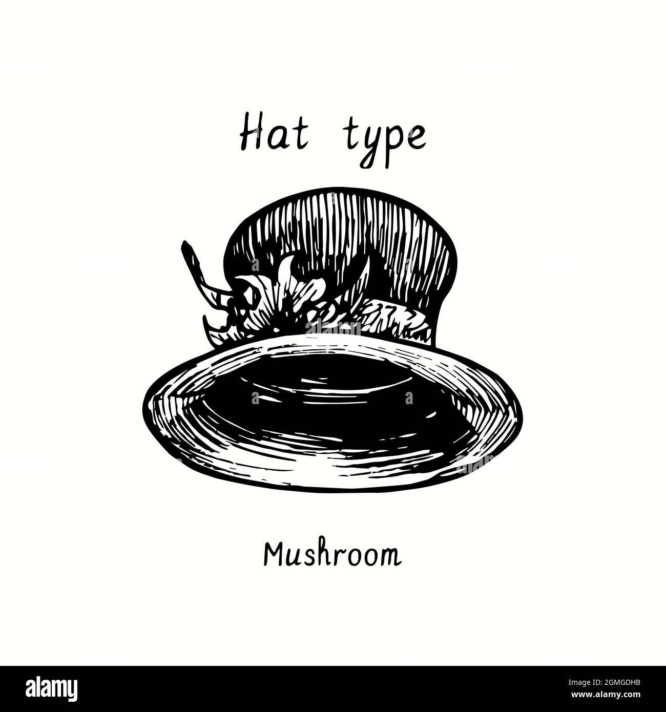 Hat type, Mushroom. Ink black and white drawing illustration Stock