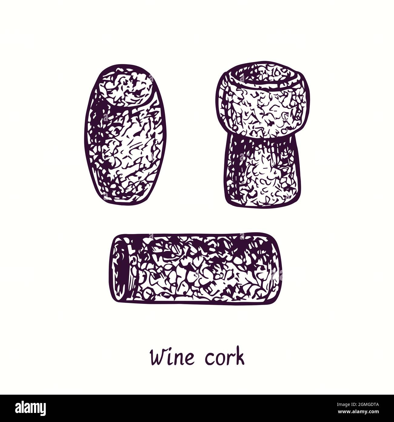Drawing wine bottle cork in Cut Out Stock Images & Pictures Alamy
