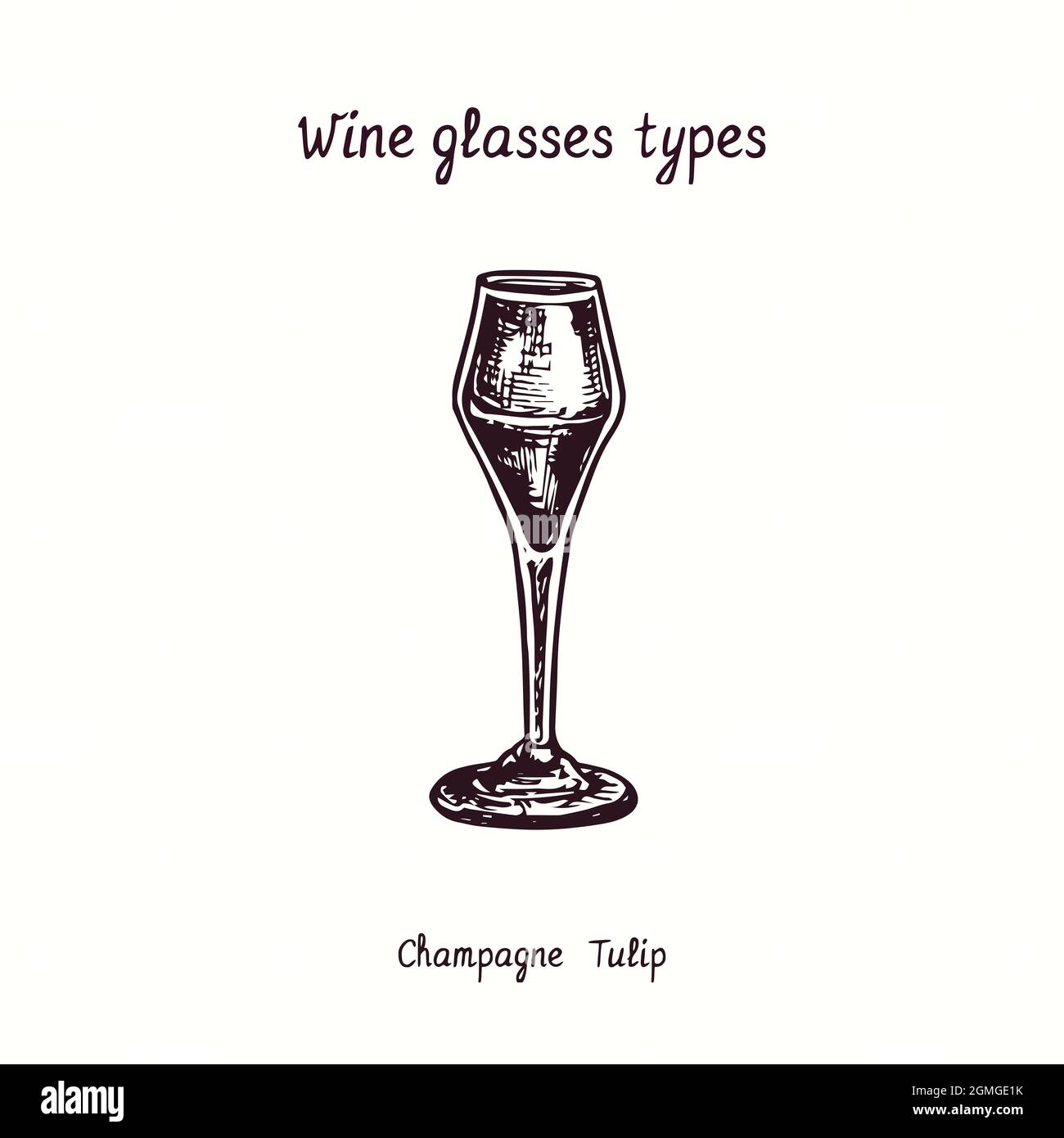 https://c8.alamy.com/comp/2GMGE1K/wine-glasses-types-collection-champagne-tulip-ink-black-and-white-doodle-drawing-in-woodcut-style-2GMGE1K.jpg