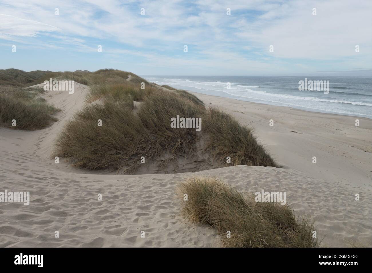 The Oregon dunes at south jetty beach in Florence, Oregon Stock Photo Alamy