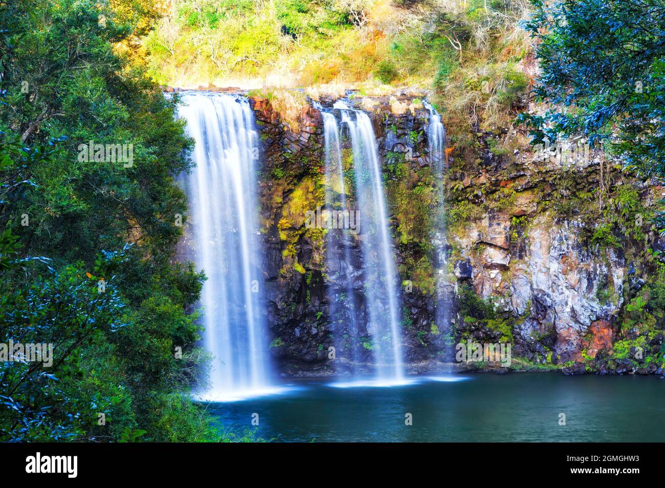 Scenic Dangar Falls waterfrall cascade in Dorrigo national park of Australia - gondwana rainforest. Stock Photo