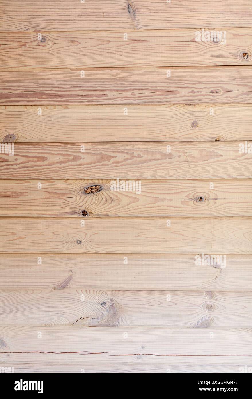 The background is a wall made of wooden beams.Texture for your design