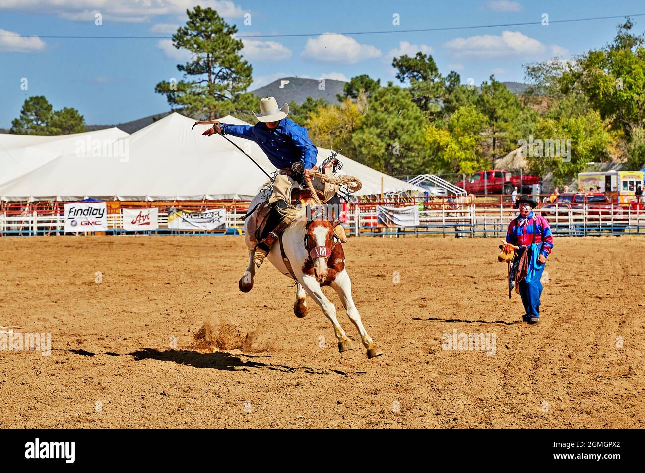 Prescott, Arizona, USA - September 12, 2021: Cowboy riding on a bucking horse at the rodeo competition held at the Prescott Rodeo Fair grounds during Stock Photo
