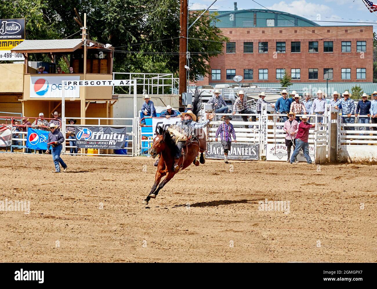 Prescott, Arizona, USA - September 12, 2021: Cowboy competing on a bucking horse at the rodeo competition held at the Prescott Rodeo Fair grounds duri Stock Photo