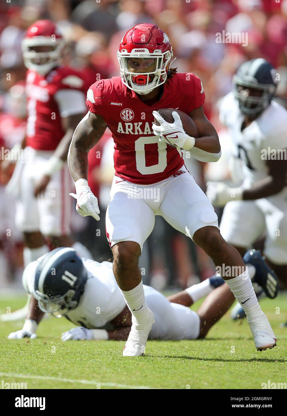 September 18, 2021: AJ Green #0 Arkansas running back comes up the field with the ball. Arkansas defeated Georgia Southern 45-10 in Fayetteville, AR, Richey Miller/CSM Stock Photo