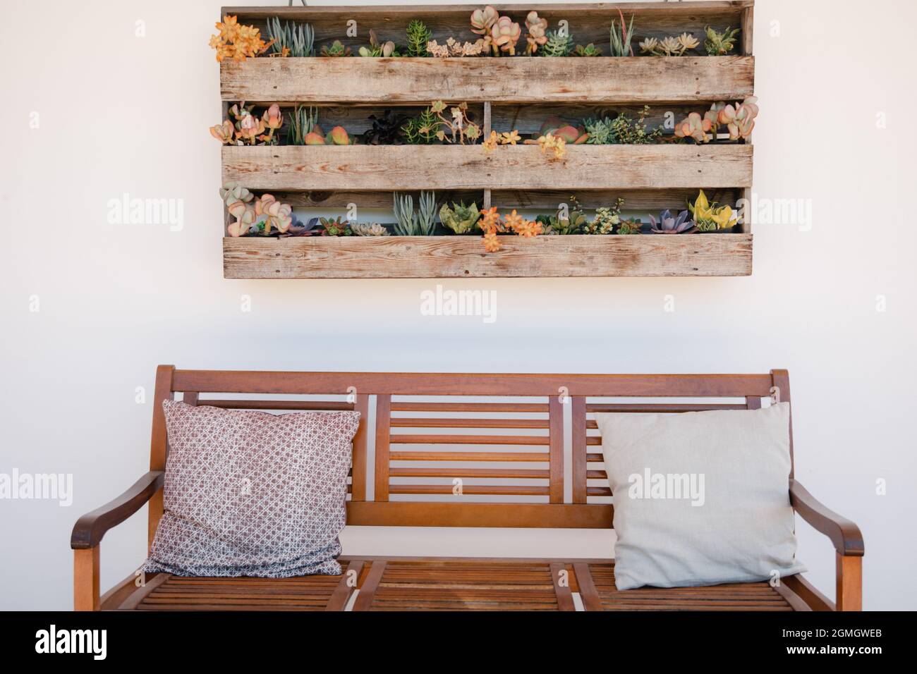Vertical wooden planters with succulents on white wall with backyard bench and pillows Stock Photo