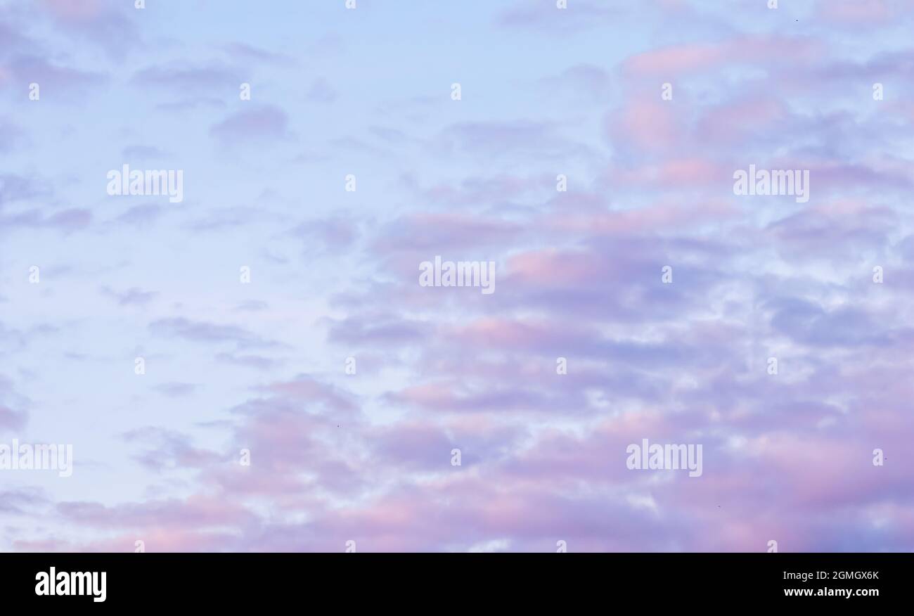 Background of blue sky with pale pink clouds in sunset Stock Photo - Alamy