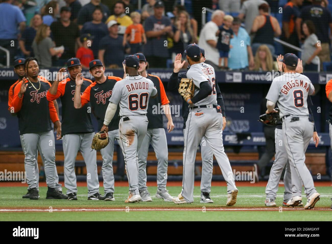 St. Petersburg, FL. USA;  The Detroit Tigers bullpen high fives their teammates coming off the field after a major league baseball game against the Ta Stock Photo
