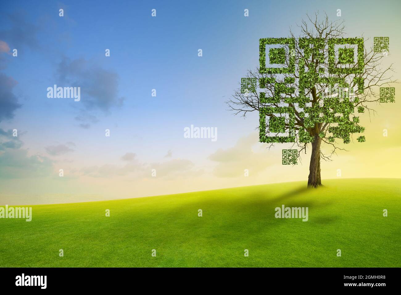 Tree shaped like qrcore with the green mountain and blue sky background. Technology ,Business and Nature Concept. Stock Photo