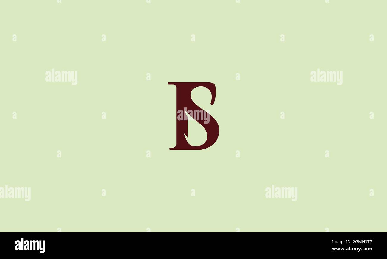 LETTERS BS LOGO DESIGN OR IS LOGO WITH NEGATIVE SPACE EFFECT Stock Vector